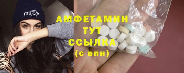шишки Алексин