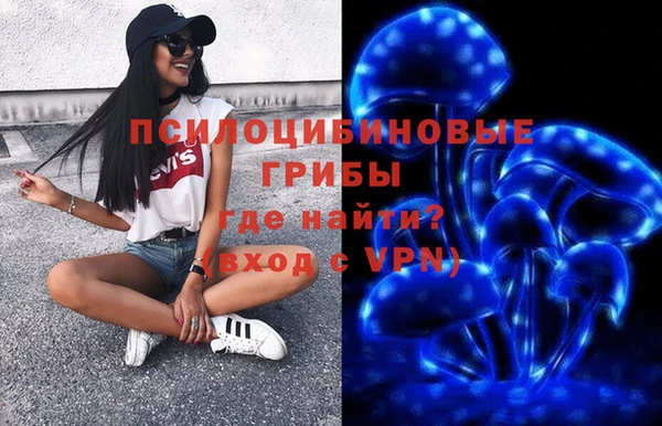 шишки Алексин
