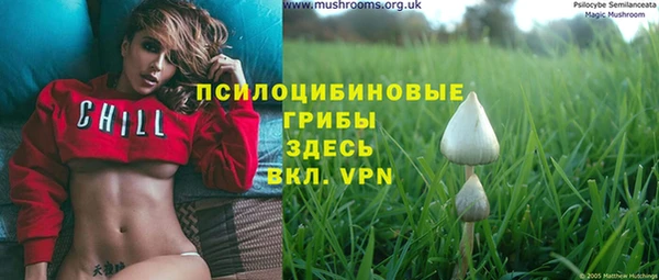 шишки Алексин